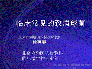 临床常见的致病球菌.ppt