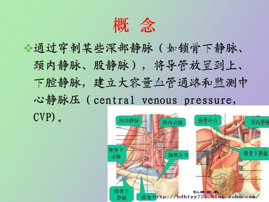 中心静脉置管护理与中心静脉压监测.ppt_第3页