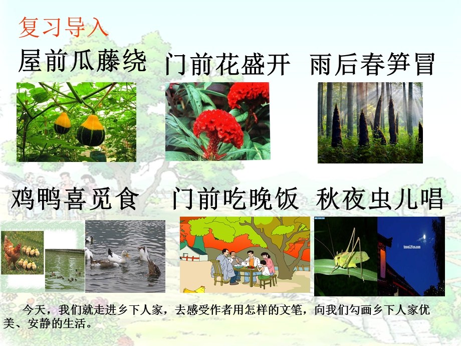 乡下人家公开课课件.ppt_第3页