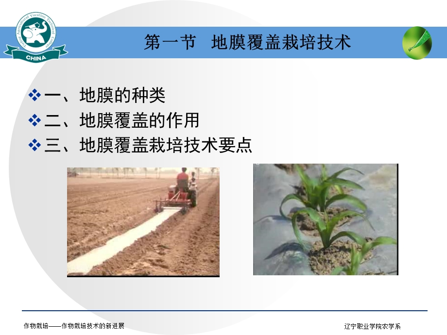 作物栽培技术的新进展.ppt_第3页