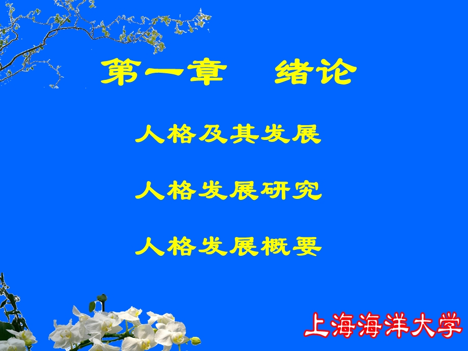 人格发展心理学绪论.ppt_第1页