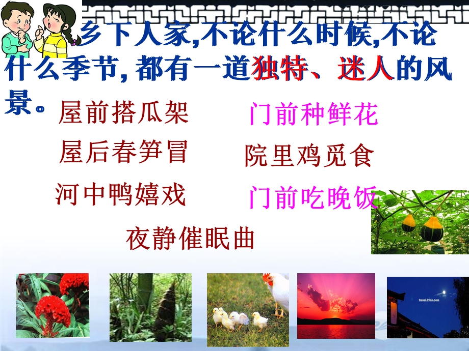 五年级语文上册乡下人家3课件北京版.ppt_第3页