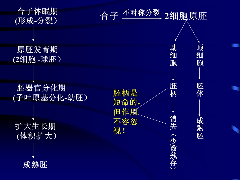 作物种子学课件-种子2、3章.ppt_第2页