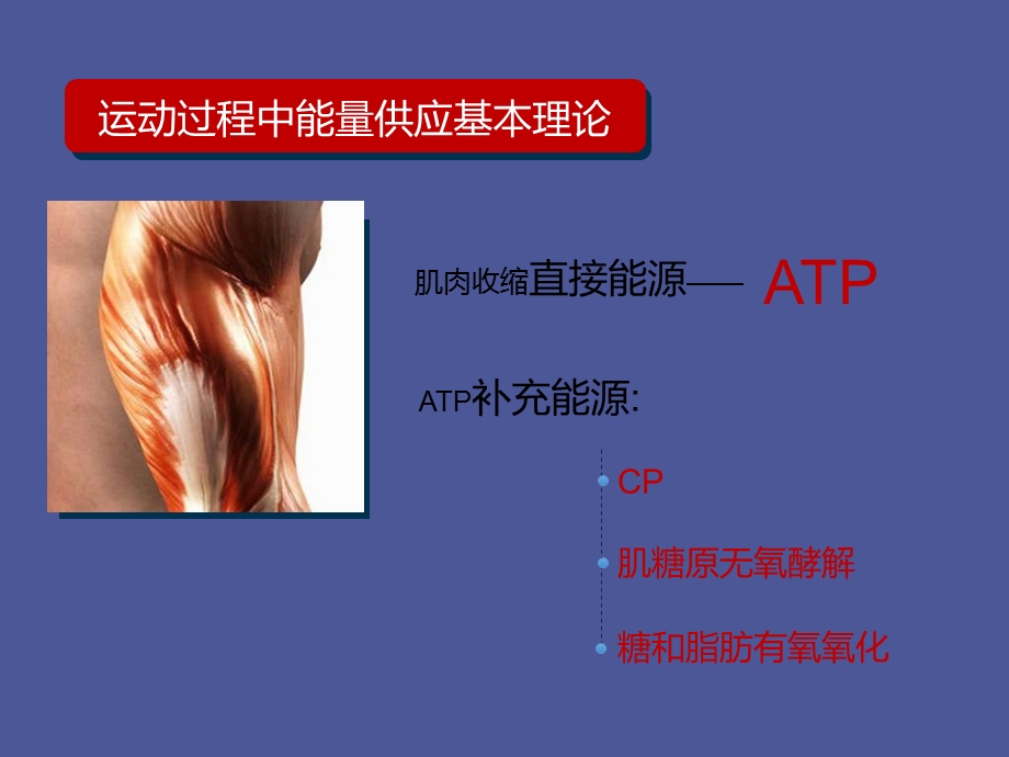 体育健身活动基本知识.ppt_第2页