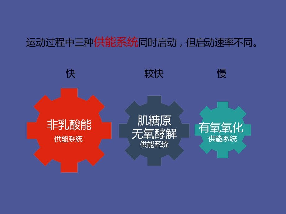 体育健身活动基本知识.ppt_第3页