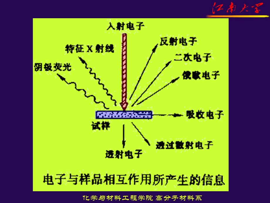 显微分析技术电子显微镜.ppt_第2页