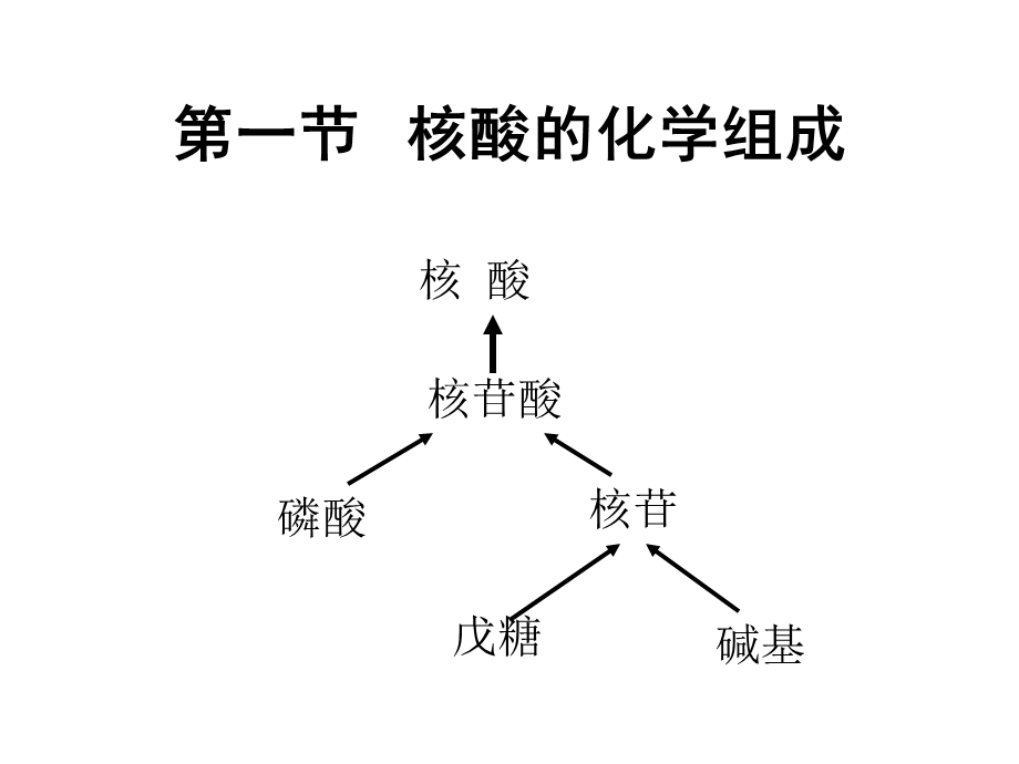 王镜岩生化课件06核酸.ppt_第2页