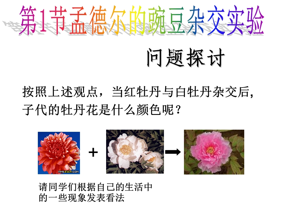 孟德尔的豌豆杂交实验 (I).ppt_第2页