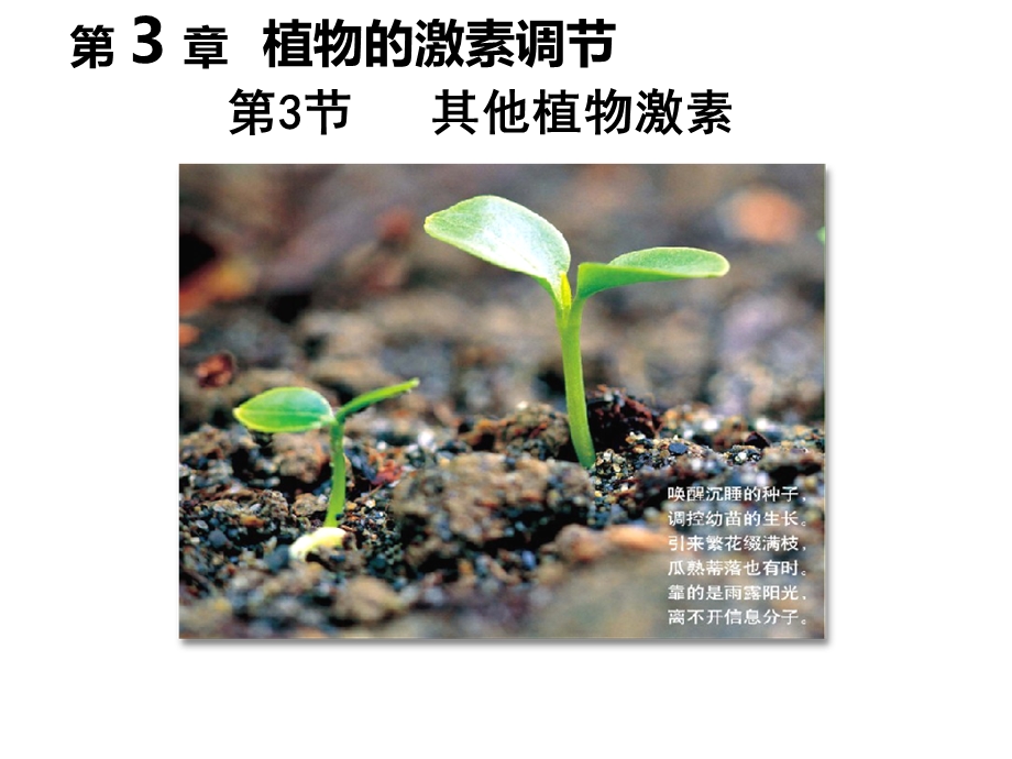 其他植物激素-课件(21张).ppt_第1页