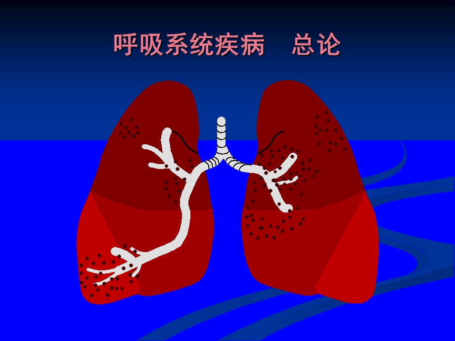 内科护理学-呼吸系统总论.ppt_第2页