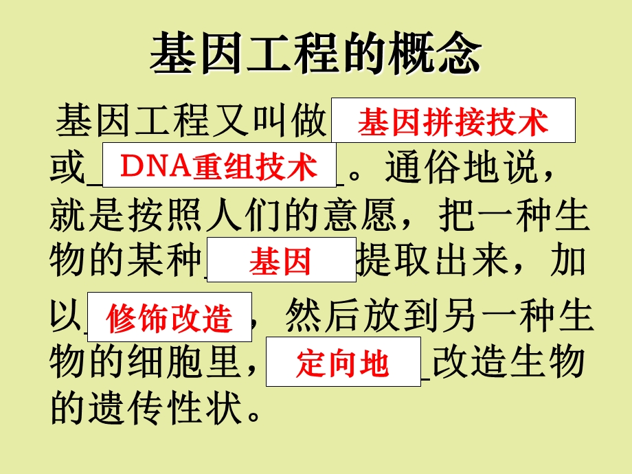 基因工程基本工具.ppt_第3页