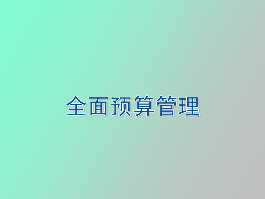 全面预算管理视野.ppt_第1页