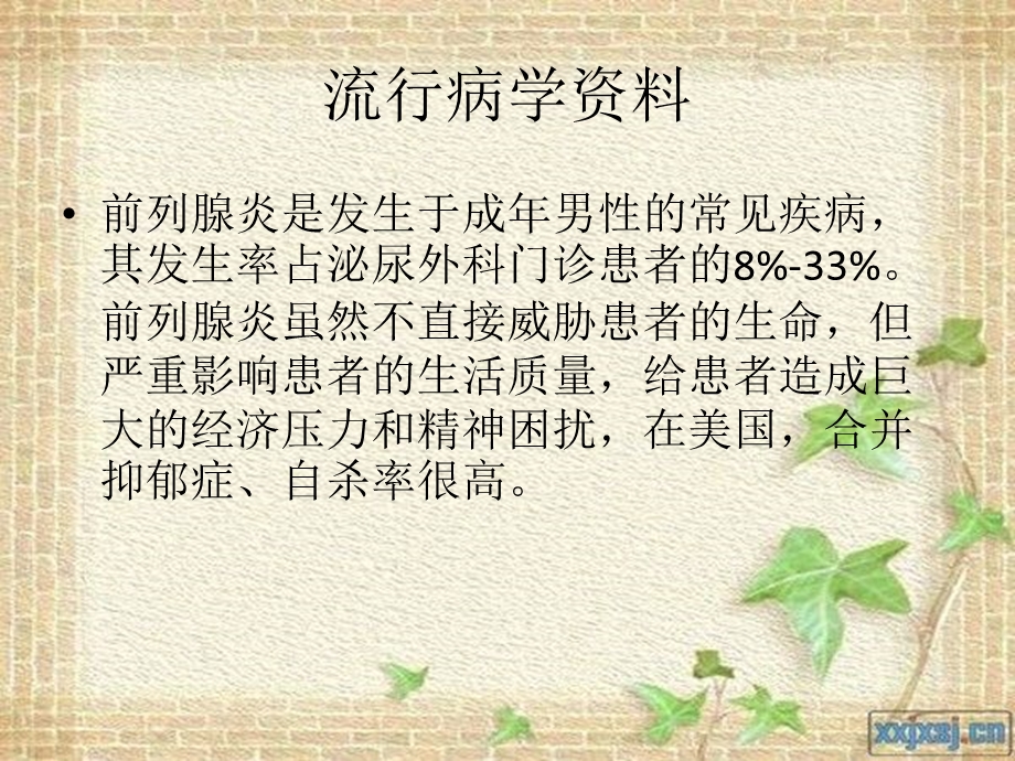 前列腺炎病人的护理.ppt_第2页