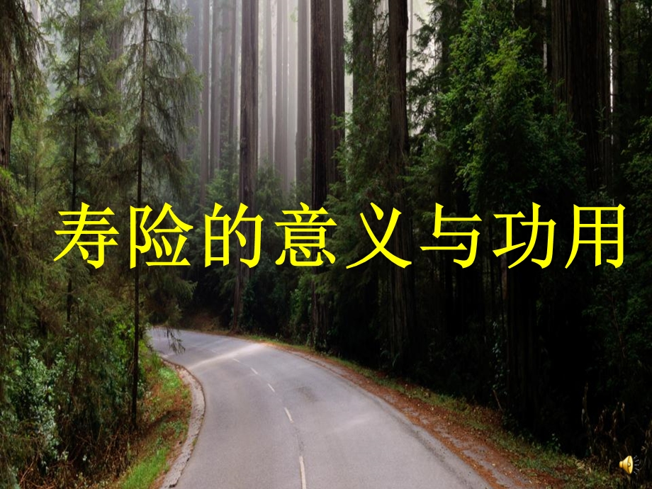 寿险的功能和意义.ppt_第2页