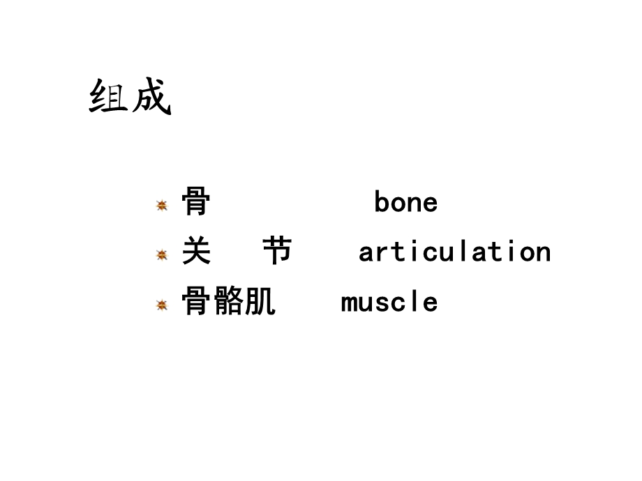 内脏学消化系统.ppt_第2页