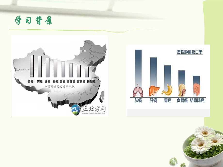 原发性肝癌的护理.ppt_第3页