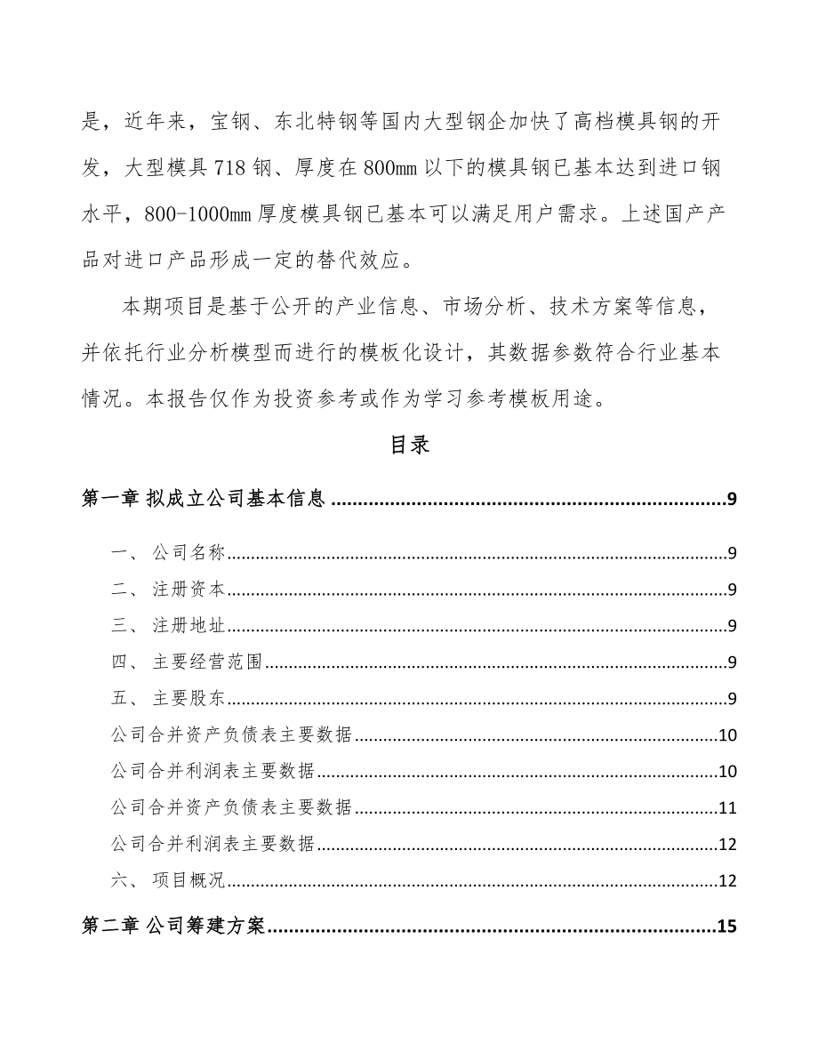 云南关于成立注塑模具公司可行性研究报告(同名91274).docx_第3页