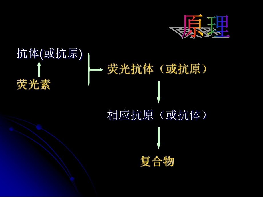 免疫荧光细胞化学.ppt_第2页