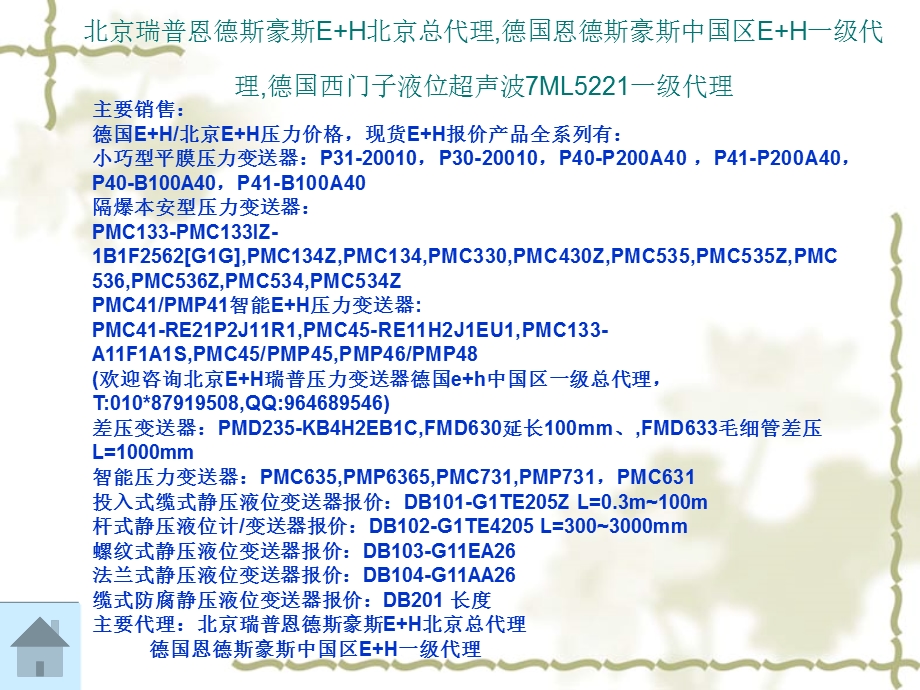 EH压力变送器选型软件资料.ppt_第2页