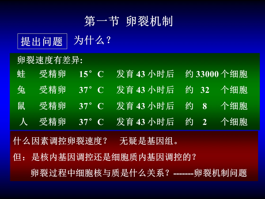 早期发育的机制.ppt_第2页