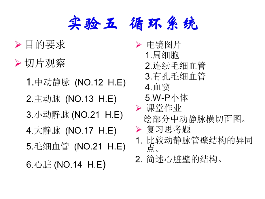 实验五循环系统.ppt_第1页