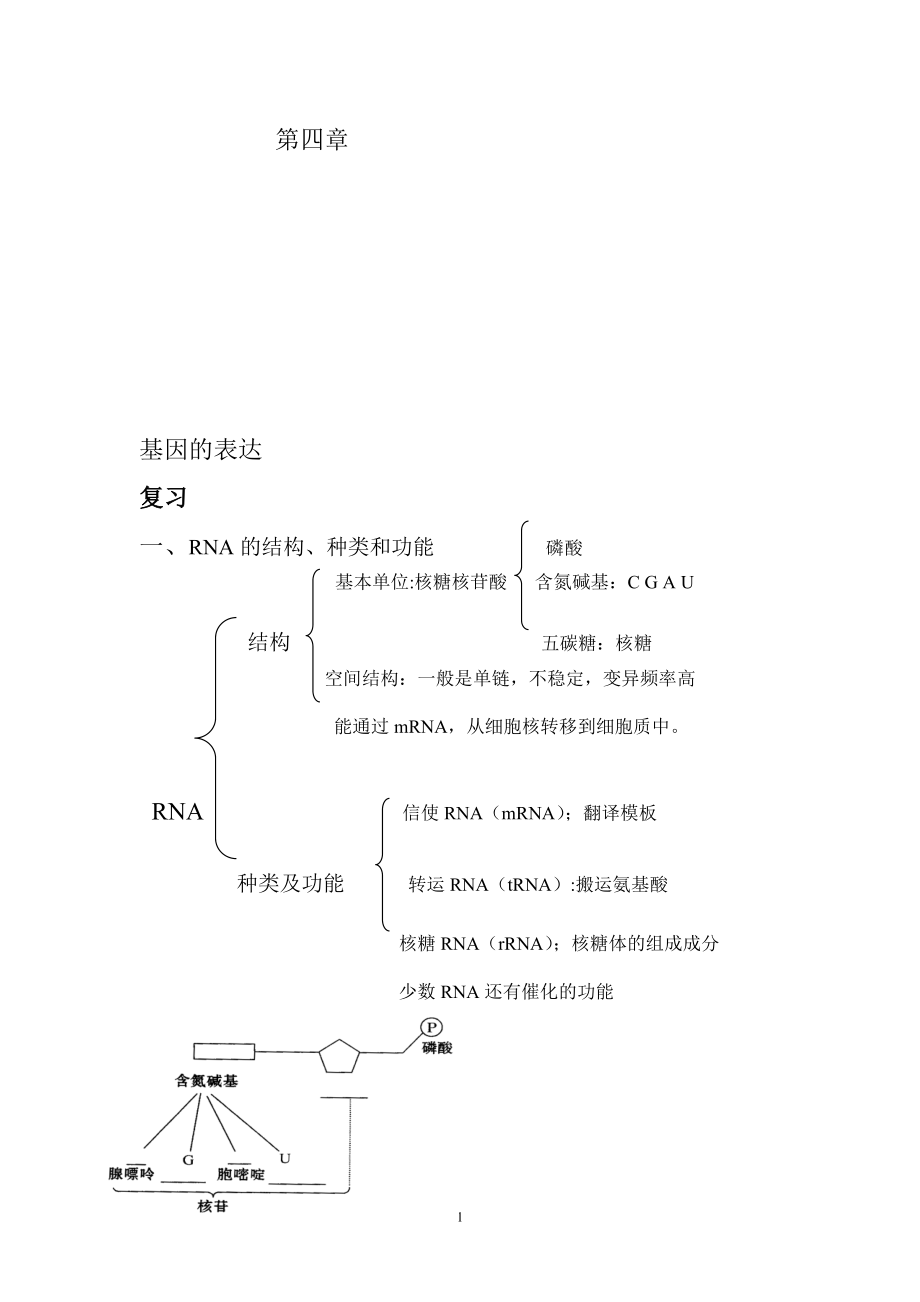 第四章基因的表达.doc_第1页