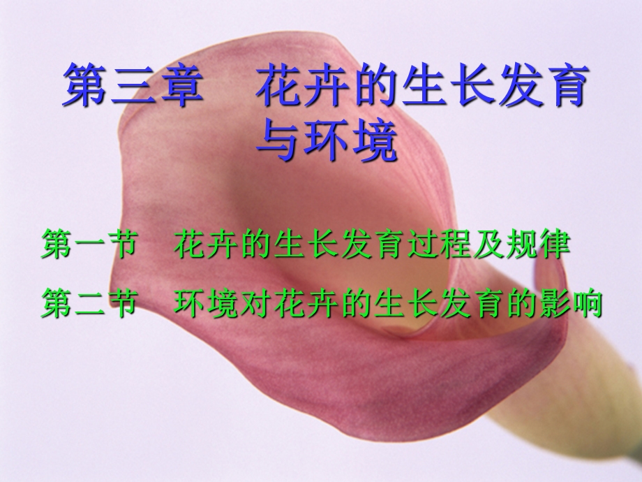 花卉的生长发育与环境.ppt_第1页