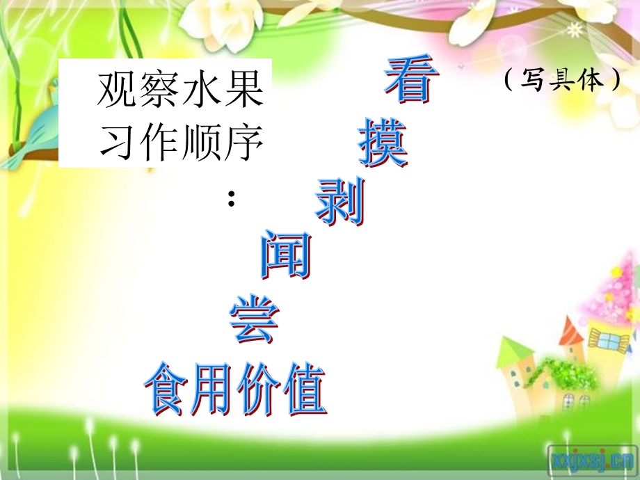 观察中的发现(水果篇).ppt_第3页