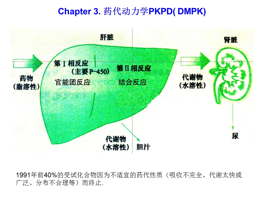 Chapter3药代动力学PKPDDMPK.ppt_第1页