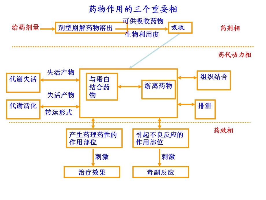 Chapter3药代动力学PKPDDMPK.ppt_第3页