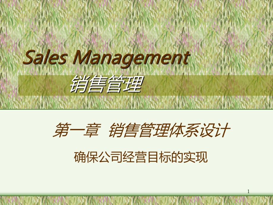 销售管理体系方案.ppt_第1页