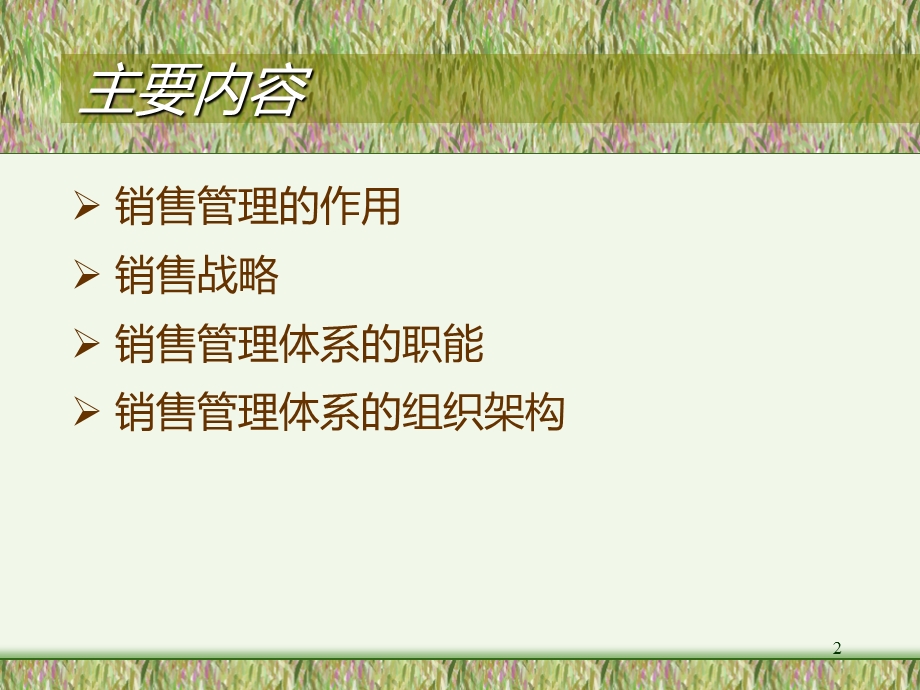 销售管理体系方案.ppt_第2页