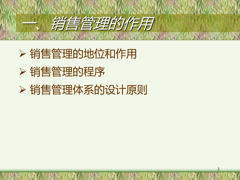 销售管理体系方案.ppt_第3页