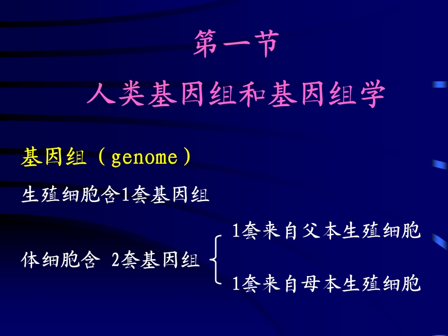 第03章人类基因组学.ppt_第2页