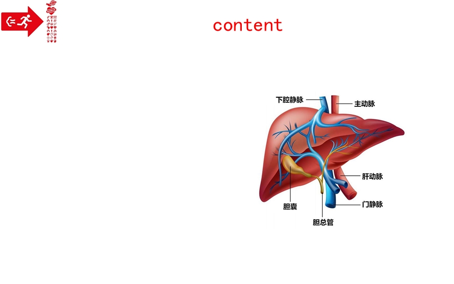 药物性肝损伤指南.ppt_第3页