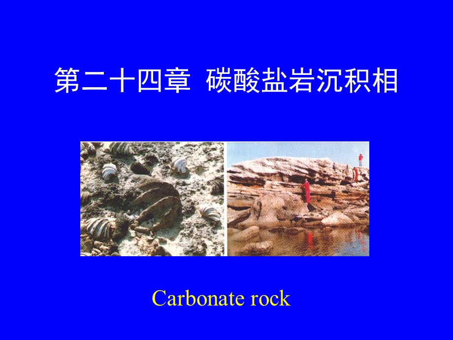 碳酸盐岩沉积相.ppt_第1页