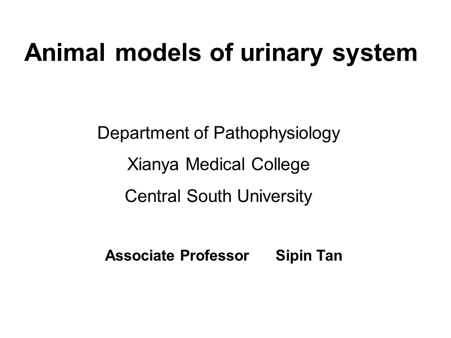 泌尿系统动物模型.ppt_第1页