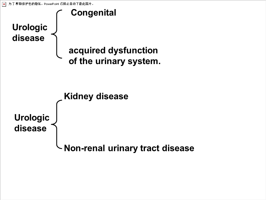 泌尿系统动物模型.ppt_第3页