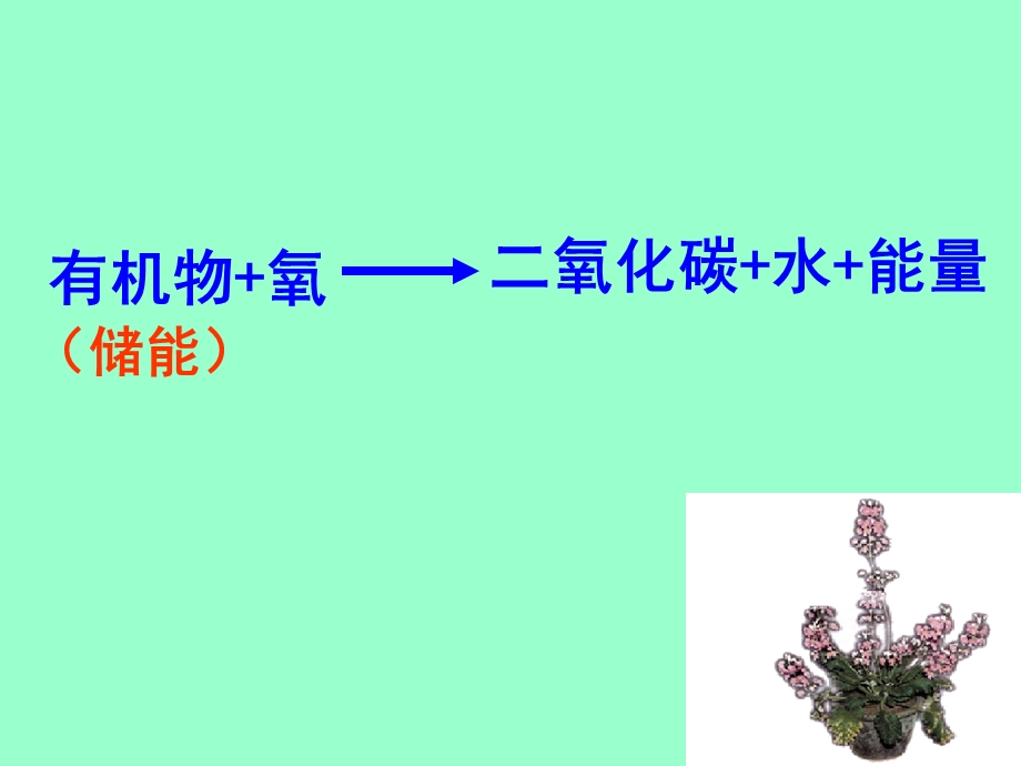 临河区逸夫学校杨晓东.ppt_第3页