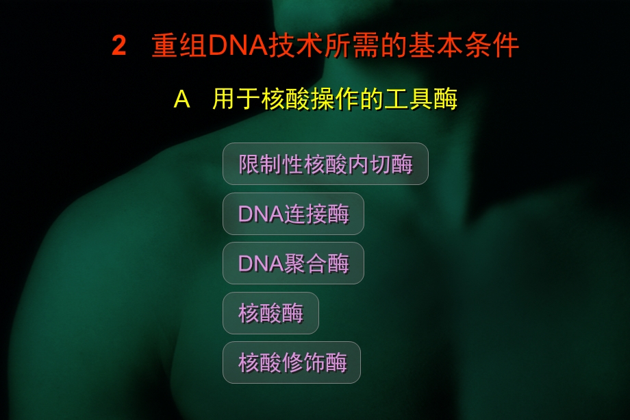 重组DNA技术与基因工程2.ppt_第2页