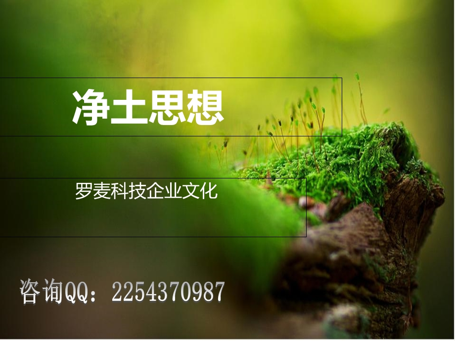 罗麦的企业文化.ppt_第1页