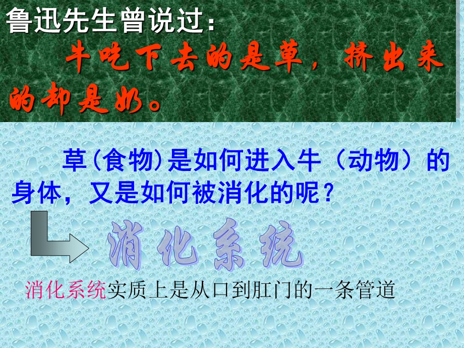 消化及消化系统.ppt_第3页