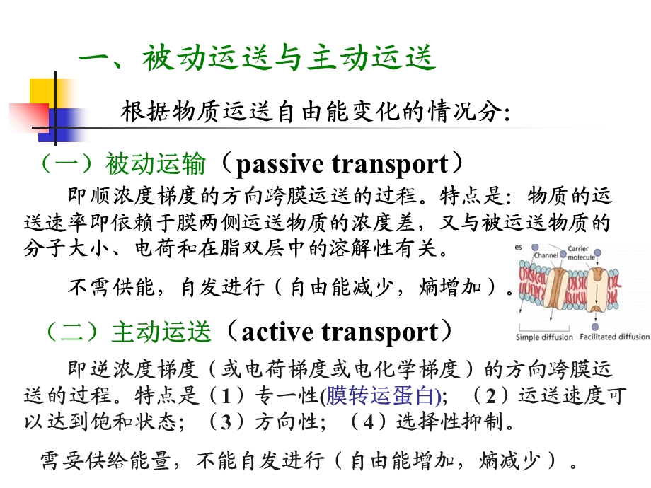 生物膜与物质运送.ppt_第3页