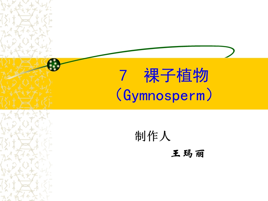 裸子植物Gymnosperm.ppt_第1页