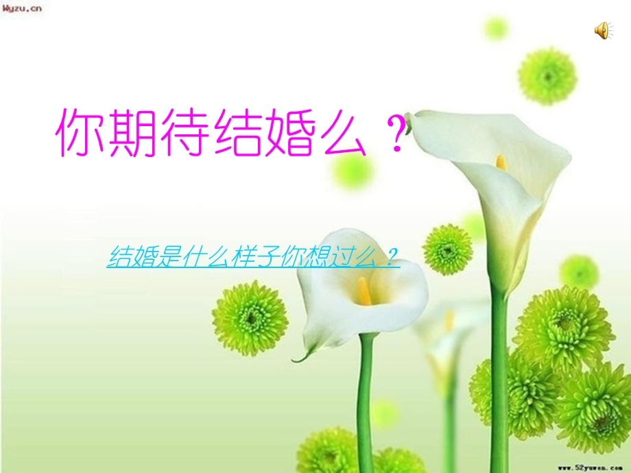 结婚不结婚.ppt