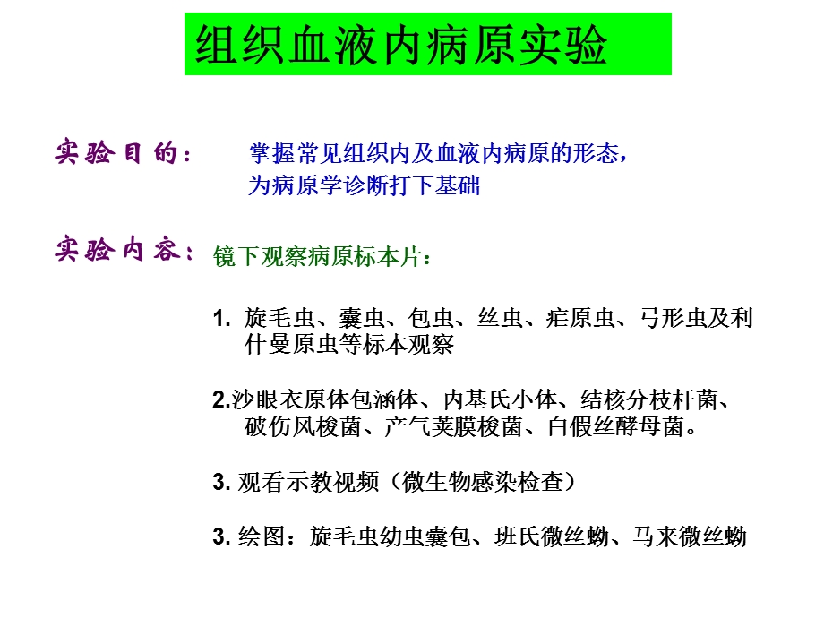 组织血液病原实验.ppt_第1页