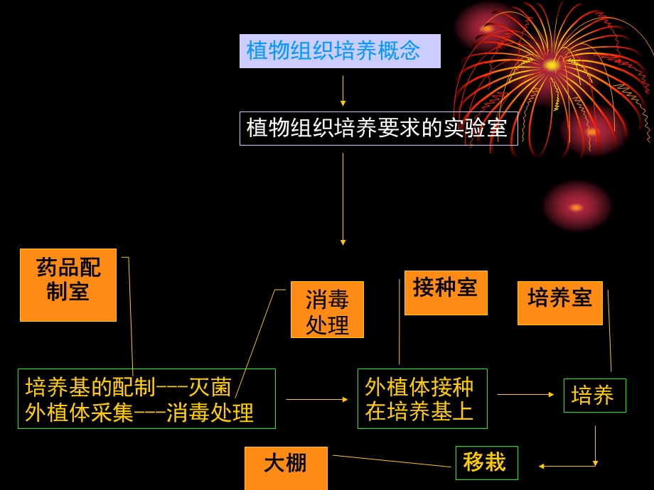 组织培养实验室设计.ppt_第2页