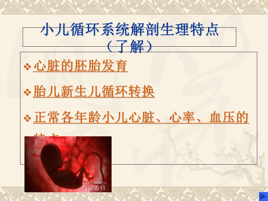 小儿循环系统解剖特点.ppt_第1页