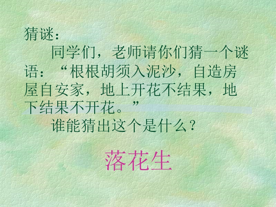 落花生教学课件2.ppt_第1页