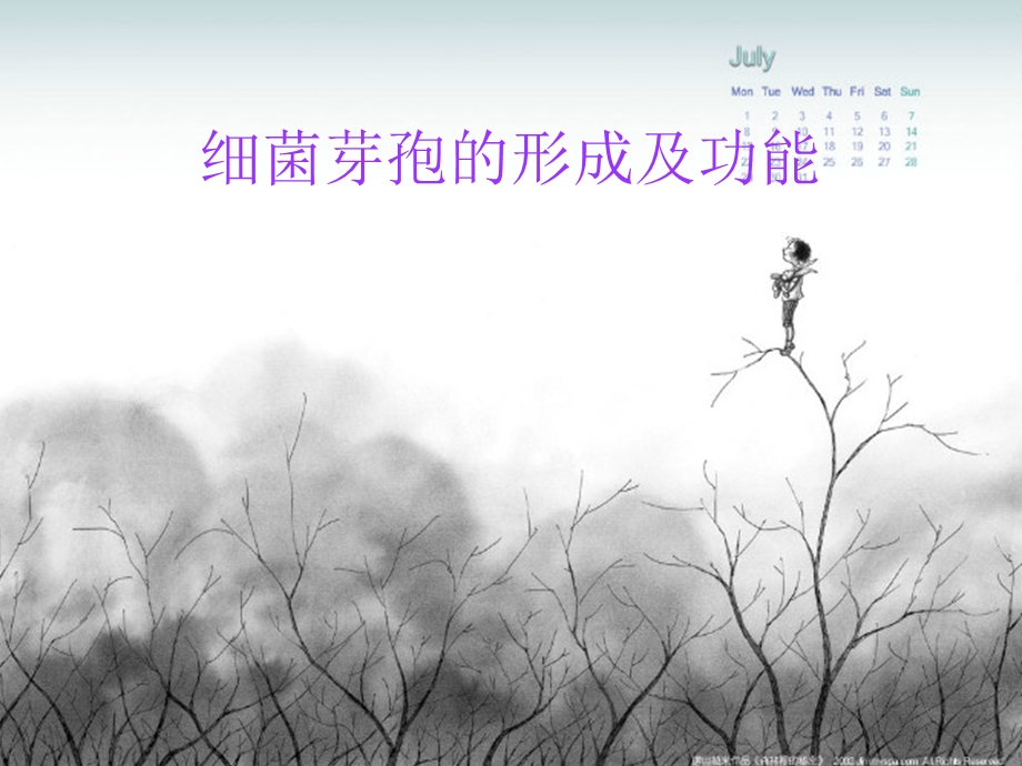 细菌芽孢的形成及功能.ppt_第1页